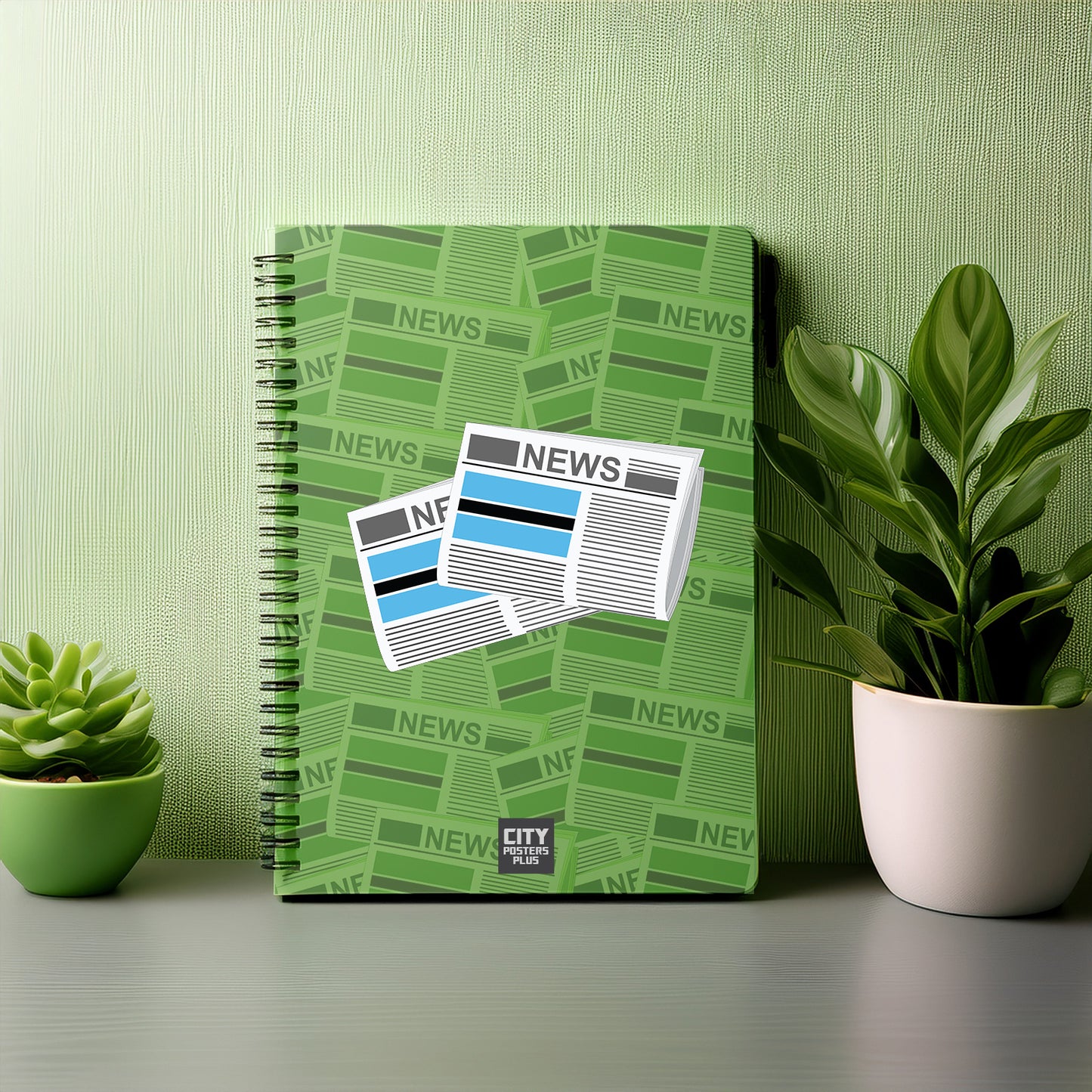Botswana Newspapers Notebook