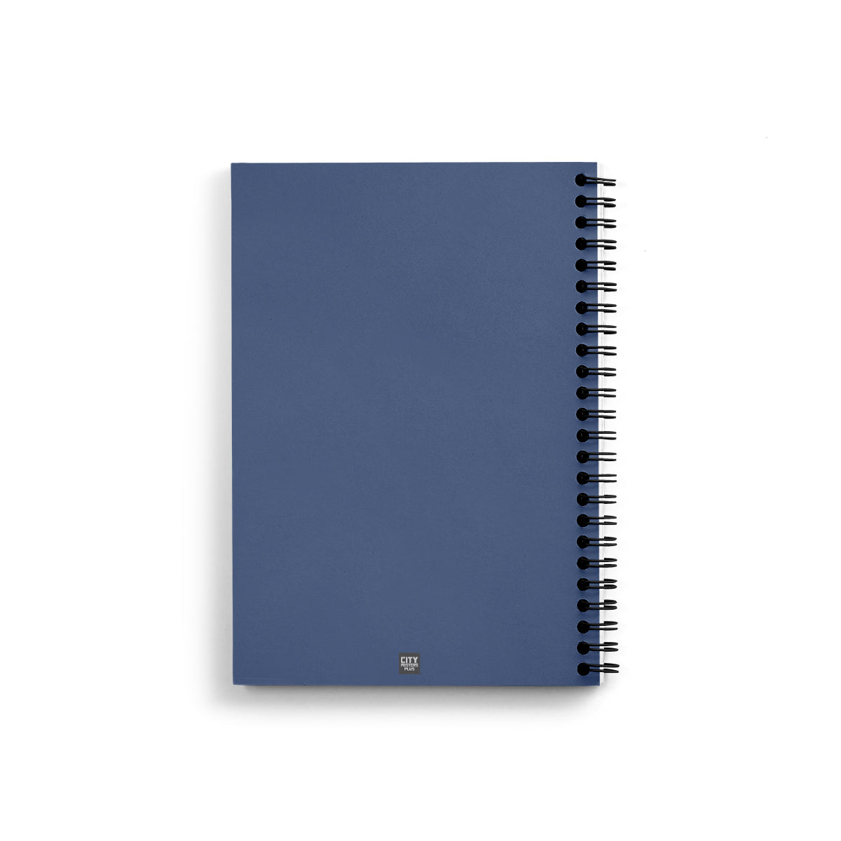 1896 Year Notebook (Navy Blue)