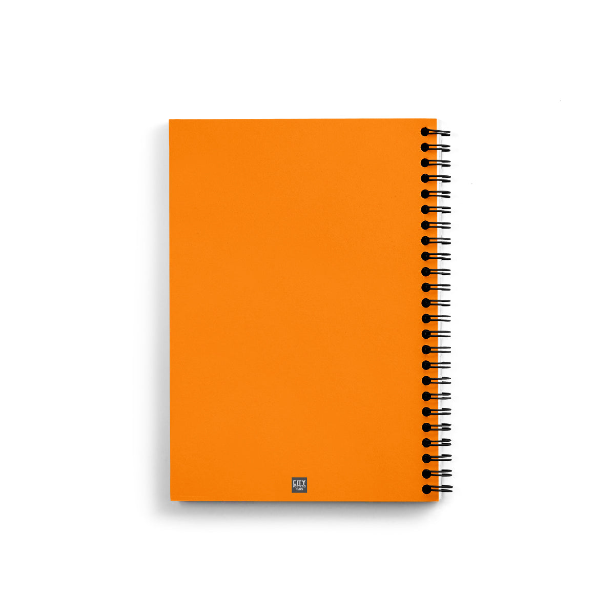 1874 Year Notebook (Orange)